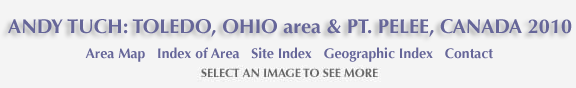 Andy Tuch:Toedo Ohio and Pt. Pelee Canada 2010 and links to area map, area and site index and geographic index